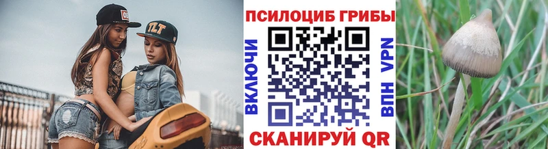 Галлюциногенные грибы Psilocybine cubensis  где найти   Пучеж 